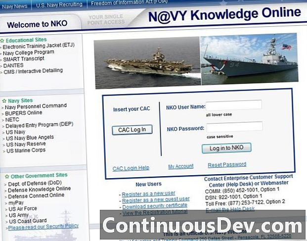 Navy Knowledge Online (NKO)