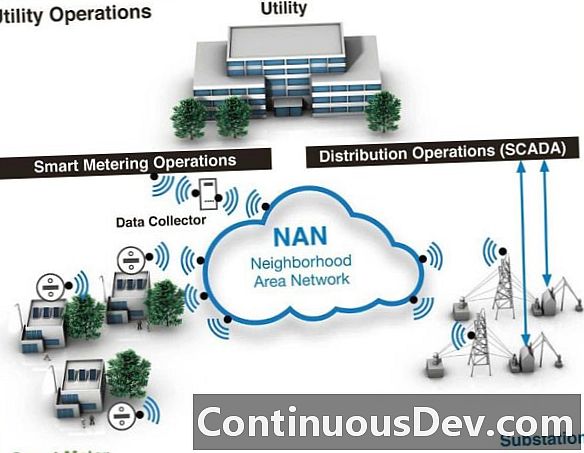 Neighborhood Area Network (NAN)