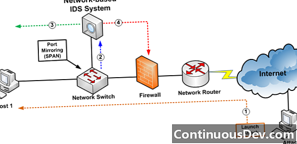 Uz tīkliem balstīta ielaušanās atklāšanas sistēma (NIDS)