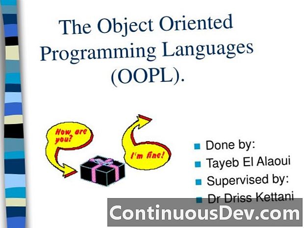 Objektno usmerjeni programski jezik (OOPL)