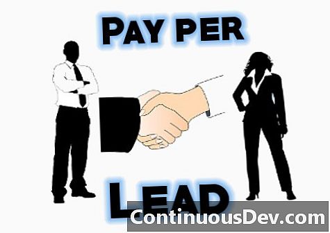 Pay Per Lead (PPL)