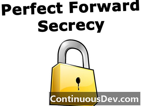 Perfecte secret secret (PFS)