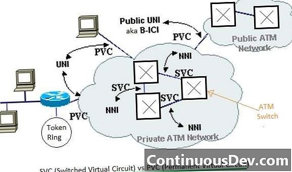 دارة افتراضية دائمة (PVC)