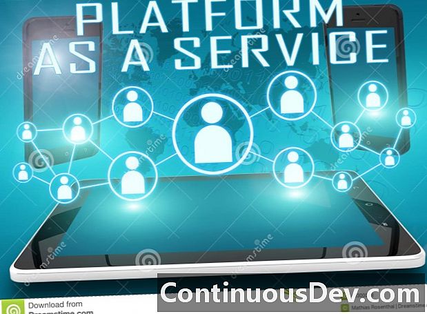 Plattform als Dienstleistung (PaaS)
