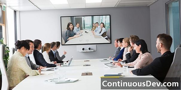 Videokonferencia typu point-to-point