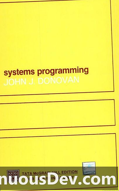 Programovací jazyk / systém (PL / S)