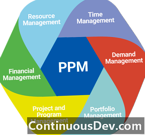 Projektu portfeļa pārvaldība (PPM)