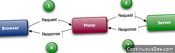 Proxy Hacking