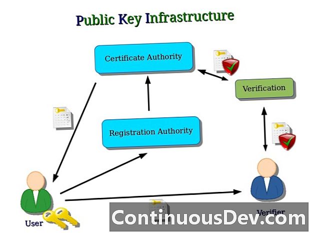Certifikát infrastruktury veřejného klíče (certifikát PKI)