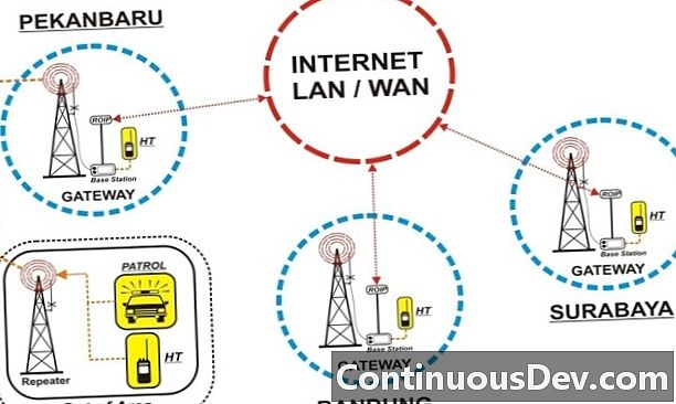 Radio über Internet Protocol (RoIP)