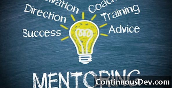 Reverzní mentorování