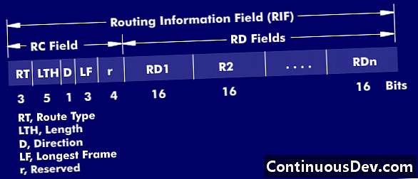 Campo de informações de roteamento (RIF)