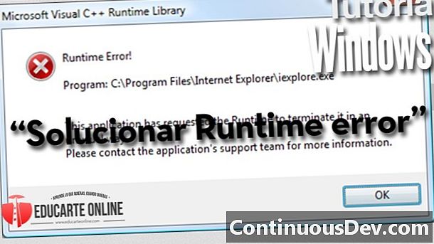 Runtime Library