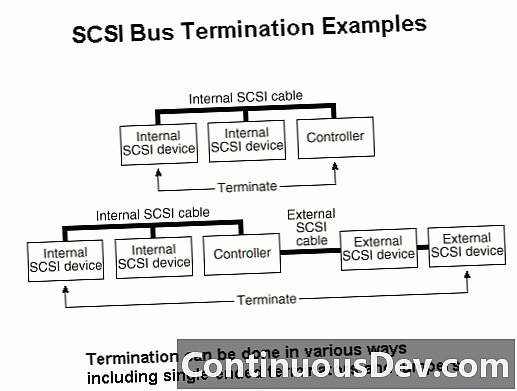 SCSI终端