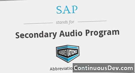 Másodlagos audioprogram (SAP)