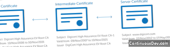 Tijelo certifikata za sigurne utičnice sloja (SSL certifikat)