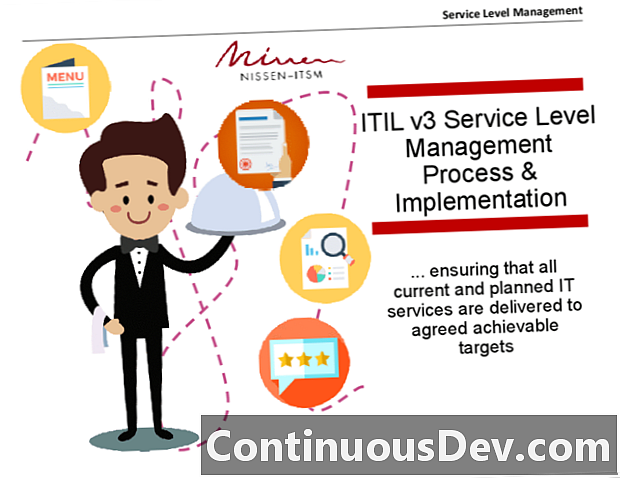 Управление на нивото на услугата (SLM)