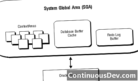 พื้นที่ส่วนกลางของระบบ (SGA)