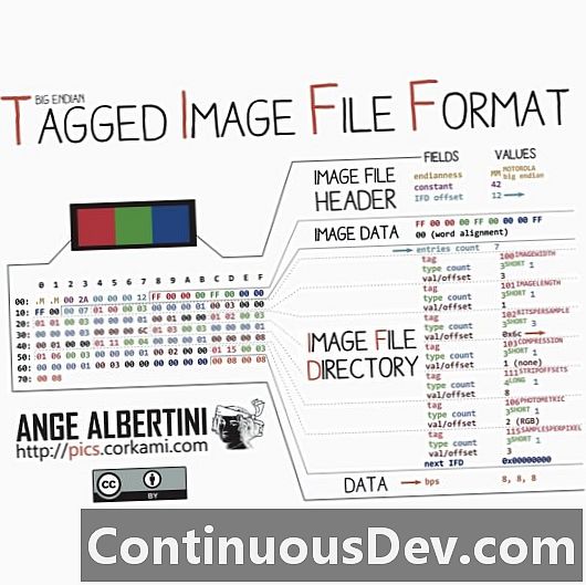 Tagged Image File Format (TIFF)