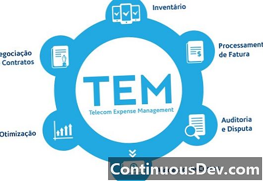 Telekomunikāciju izdevumu pārvaldība (TEM)