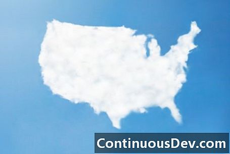 Uncle Sam in the Cloud? Federale trends in cloudgebruik