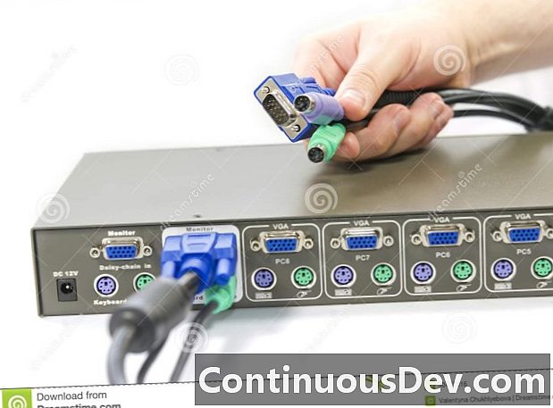 Connettore VGA (Video Graphics Array)