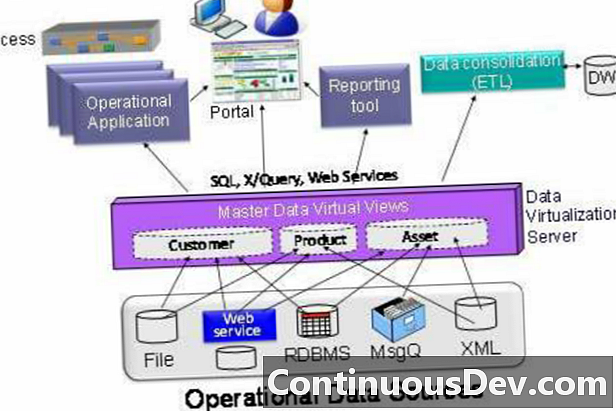 Virtualno upravljanje glavnim podacima (virtualni MDM ili VMDM)