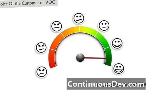 Tiếng nói của khách hàng (VOC)