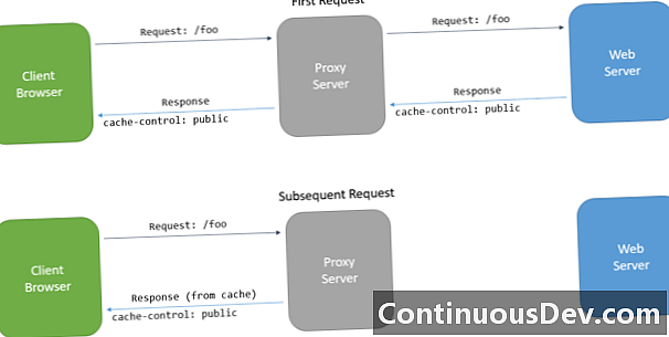 Web Proxy-cache