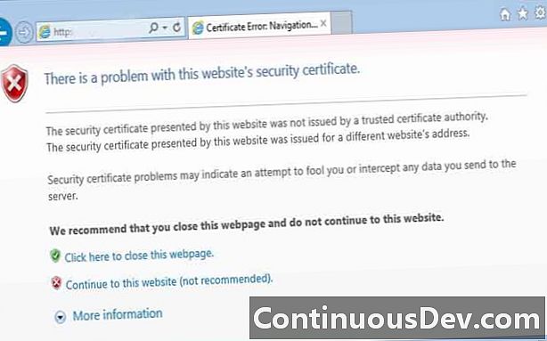 Certificado de seguridad del sitio web