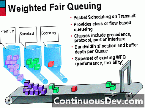 Weighted Fair Queuing (WFQ)