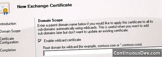 Wildcard Certificate