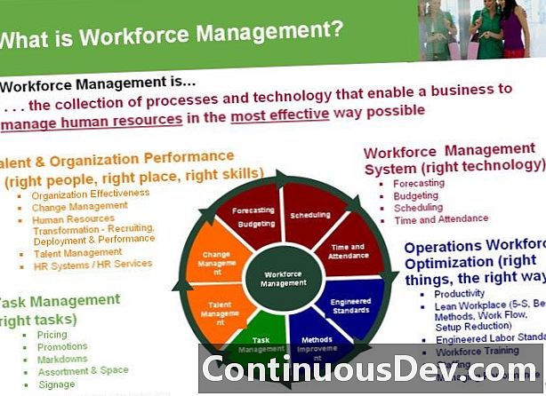 Managementul forței de muncă (WFM)